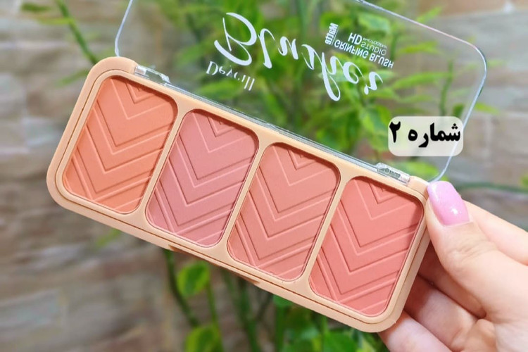 قیمت و خرید پالت رژگونه دایسل