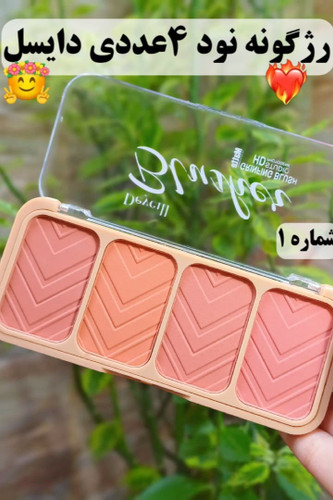 قیمت و خرید پالت رژگونه دایسل