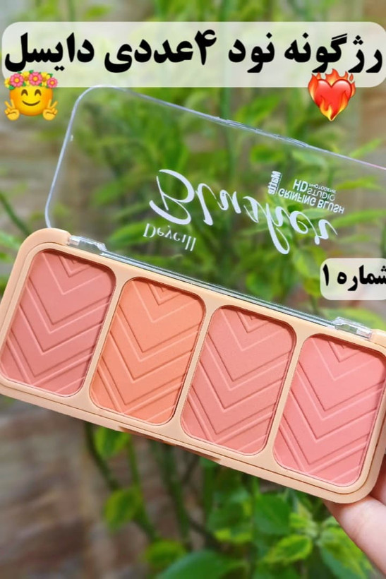 قیمت و خرید پالت رژگونه دایسل