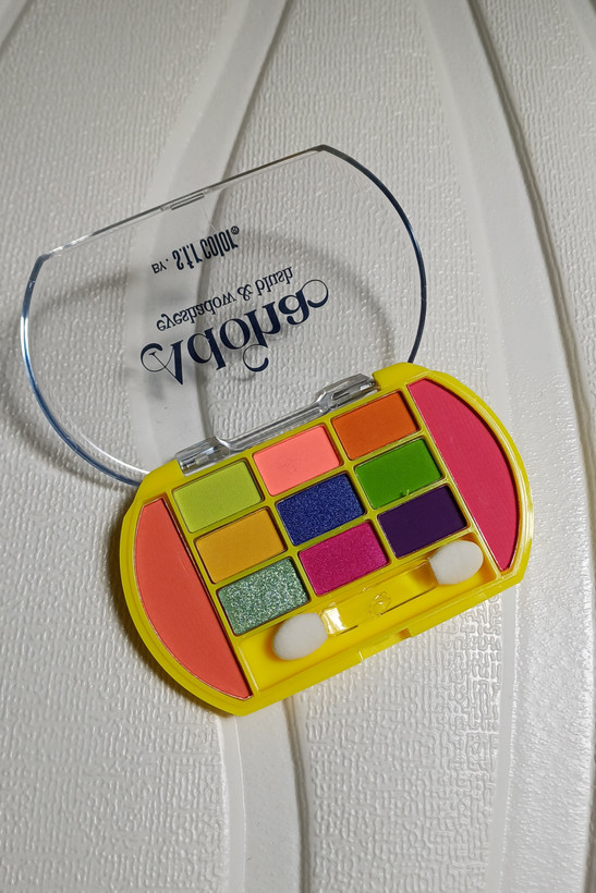 خرید پالت سایه ۹رنگ و رژگونه اس اف آر کالر