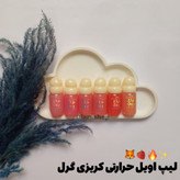 قیمت و خرید آنلاین لیپ اویل