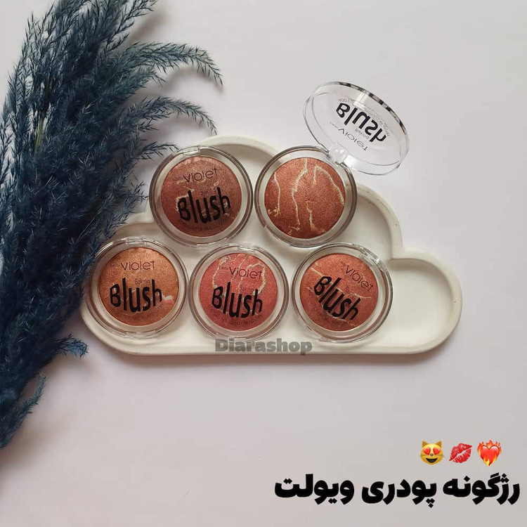 قیمت و خرید آنلاین رژگونه شاین