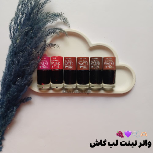 قیمت و خرید آنلاین تینت لب قهوه ای از ترب