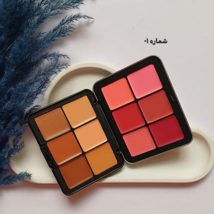 خرید آتلاین پالت کانتور و رژگونه چرب