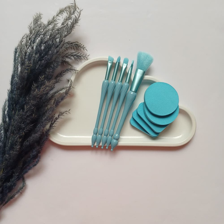 قیمت ست براش و پد آرایشی در بستهبندی شکیل و بهداشتی