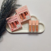 قیمت و خرید آنلاین پک سه عددی رژ لب خیس طرح خرسی